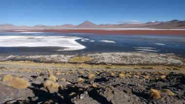 Laguna colorada Altiplano içinde. Bolivya, Güney Amerika.