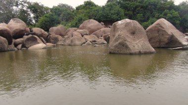Nehirde Fleuve. Bolivya, Güney Amerika.