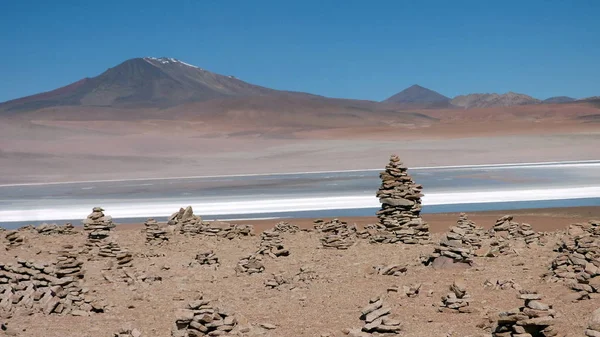 Lagun honda ad Altiplano. Bolivia, Sud America . — Foto Stock