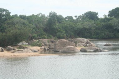 Nehirde Fleuve. Bolivya, Güney Amerika.