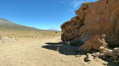 Altiplano Rock'ta. Bolivya, Güney Amerika.