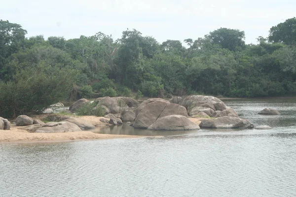 Nehirde Fleuve. Bolivya, Güney Amerika.