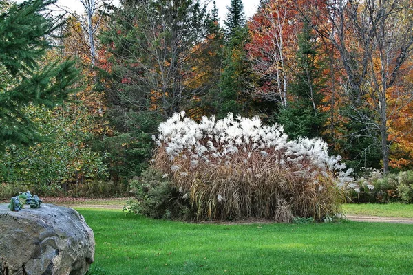 Podzim v Quebecu. Kanada, Severní Amerika. — Stock fotografie