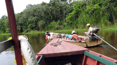 Rio de Fleuve. Bolivya, Güney Amerika.