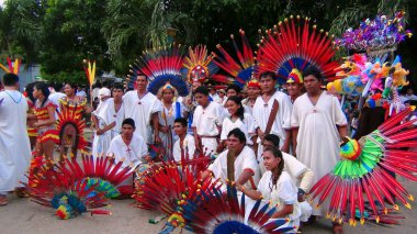 Parti Trinidad. Bolivya, Güney Amerika.