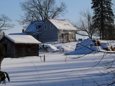 Quebec grupta. Kanada, Kuzey Amerika.