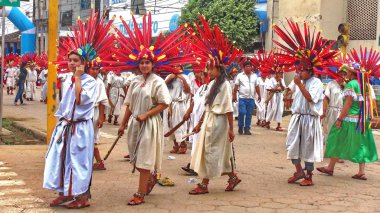 Parti Trinidad. Bolivya, Güney Amerika.