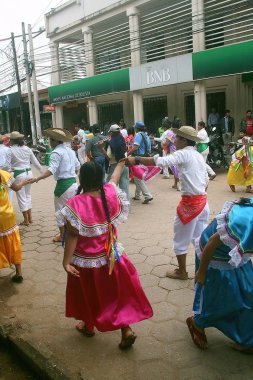 Parti Trinidad. Bolivya, Güney Amerika.