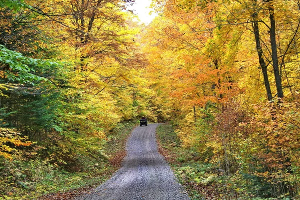 Outono em Quebec. Canadá, América do Norte . — Fotografia de Stock