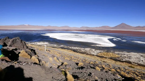 Laguna in altiplano. Bolivien, Südamerika. — Stockfoto