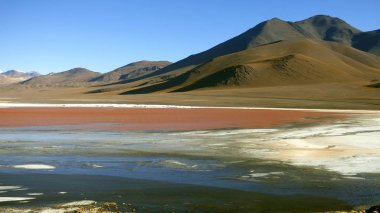 Laguna colorada Altiplano içinde. Bolivya, Güney Amerika.