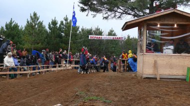 Köpek Quebec. Kanada, Kuzey Amerika.