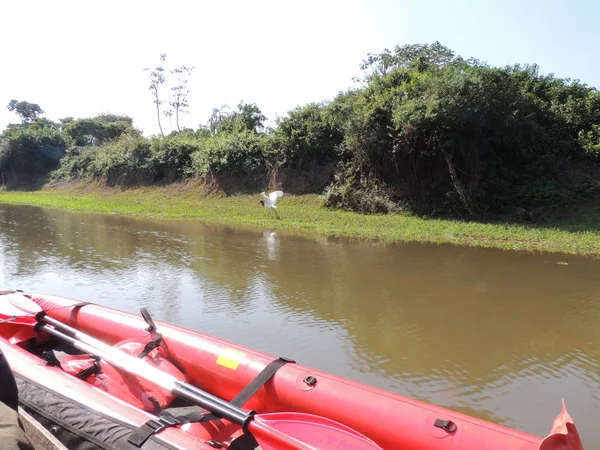 Fleuve gezisi. Bolivya, Güney Amerika.