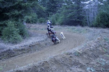 Köpek Quebec. Kanada, Kuzey Amerika.
