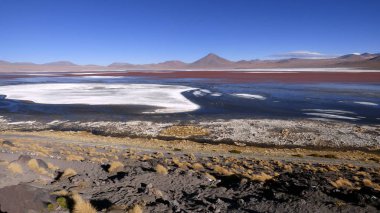 Laguna colorada Altiplano içinde. Bolivya, Güney Amerika.