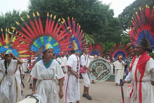 Parti i Trinidad. Bolivia, Sydamerika. — Stockfoto