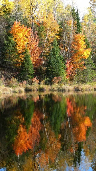 Outono em Quebec. Canadá, América do Norte . — Fotografia de Stock