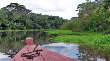 Rio de Fleuve. Bolivya, Güney Amerika.