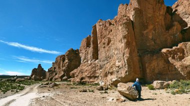 Altiplano kayalarda. Bolivya, Güney Amerika.