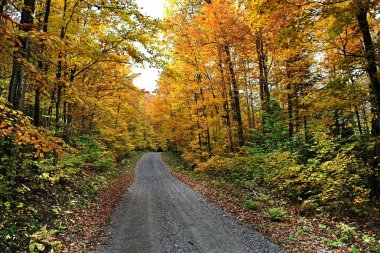 Quebec sonbaharda. Kanada, Kuzey Amerika.