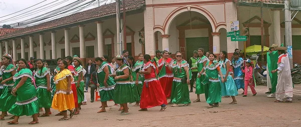 Parti Trinidad. Bolivya, Güney Amerika. — Stok fotoğraf