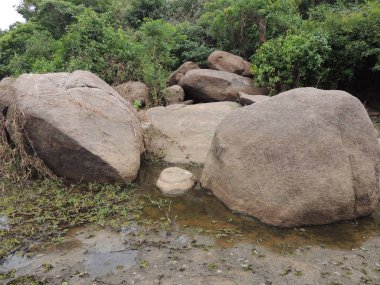 Fleuve gezisi. Bolivya, Güney Amerika.