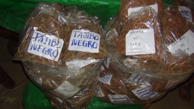 El sanatları Bolivya, Güney Amerika.