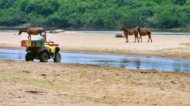 Nehirde Fleuve. Bolivya, Güney Amerika.