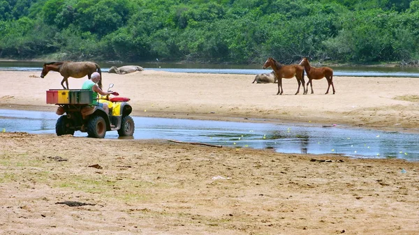 Nehirde Fleuve. Bolivya, Güney Amerika.