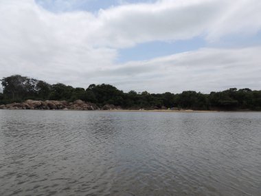 Fleuve gezisi. Bolivya, Güney Amerika.