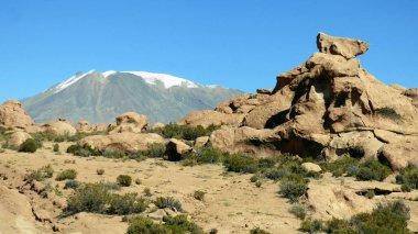 Siloli çölde Altiplano. Bolivya, Güney Amerika.