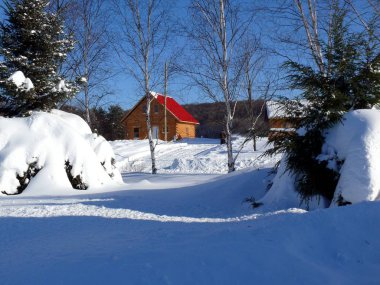 Quebec kar. Kanada, Kuzey Amerika.