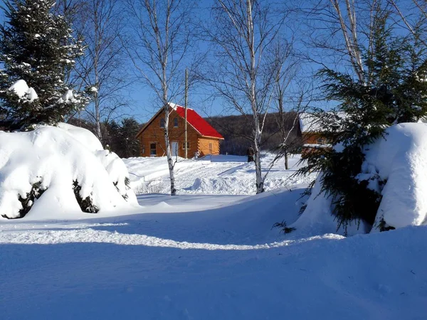 Quebec kar. Kanada, Kuzey Amerika.