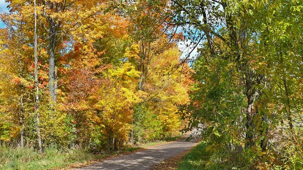 Quebec sonbaharda. Kanada, Kuzey Amerika.