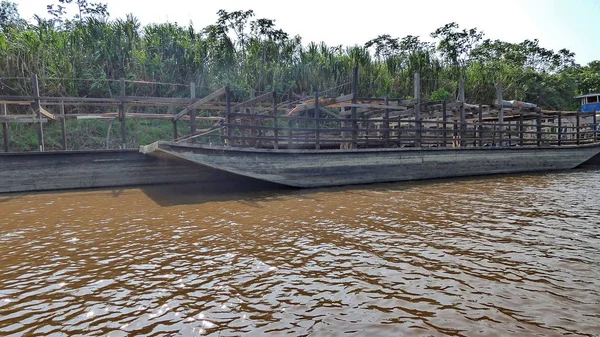 在 Fleuve 驳船。玻利维亚南美洲. — 图库照片