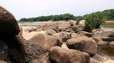 Nehirde Fleuve. Bolivya, Güney Amerika.