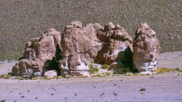 Altiplano Rock'ta. Bolivya, Güney Amerika. — Stok fotoğraf
