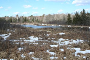 Quebec gölde. Kanada, Kuzey Amerika.