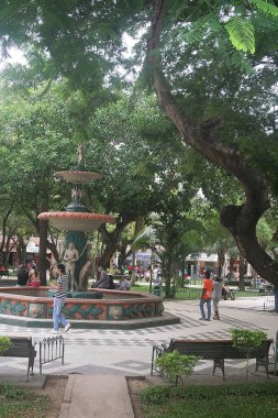 Parti Trinidad. Bolivya, Güney Amerika.