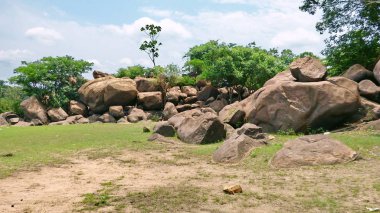 Nehirde Fleuve. Bolivya, Güney Amerika.