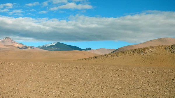 Altiplano dağda. Bolivya, Güney Amerika.