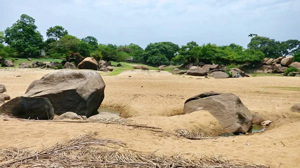 Nehirde Fleuve. Bolivya, Güney Amerika.