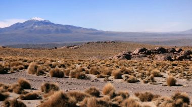 Altiplano dağda. Bolivya, Güney Amerika.