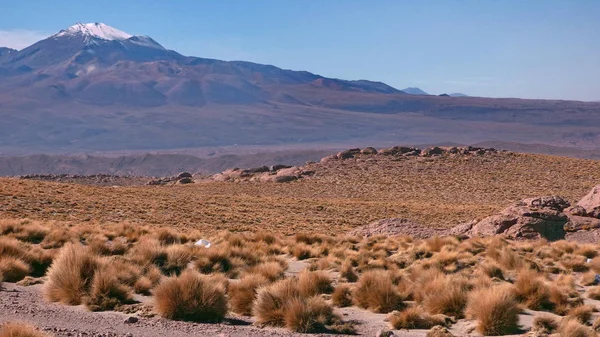 Гора в Альтиплано. Боливия, Южная Америка . — стоковое фото