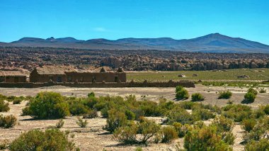 Altiplano volkanik kayalarda. Bolivya, Güney Amerika.