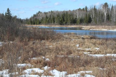 Quebec gölde. Kanada, Kuzey Amerika.
