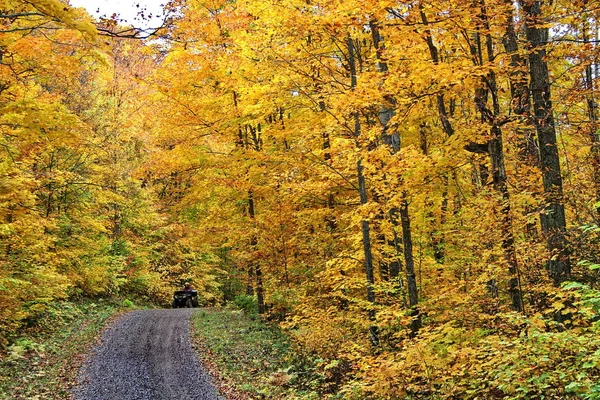 Autunno in Quebec. Canada, Nord America . — Foto Stock