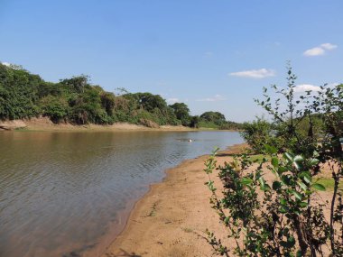 Fleuve gezisi. Bolivya, Güney Amerika.