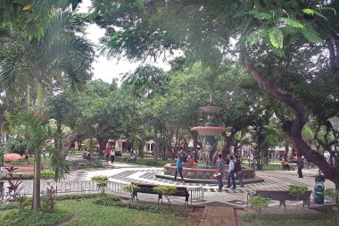 Parti Trinidad. Bolivya, Güney Amerika.