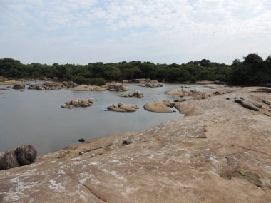 Nehirde Fleuve. Bolivya, Güney Amerika.